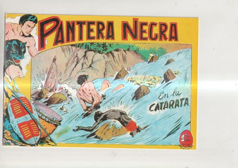Pantera Negra, facsimil numero 16: En la catarata