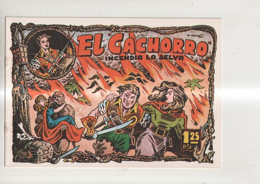 Facsimil El Cachorro de Iranzo numero 029: Incendia la selva