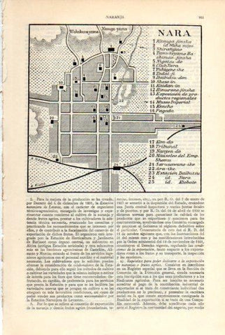 LAMINA V50733: Plano de Nara, Japon