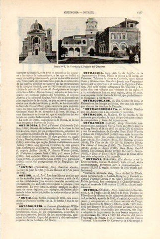 LAMINA V50762: Catedral y Palacio del Gobierno en Ostia, Italia