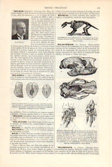 LAMINA V50696: Mylodon robustus Owen, formacion de las Pampas Argentina
