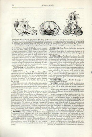 LAMINA V50715: Mormosaurus Seeley Watson del pernico de Africa del Sur