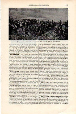 LAMINA V50820: Ultima revista de Napoleon por J. Prinsep