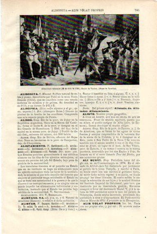 LAMINA V50542: Alistamiento voluntario del 22 de julio 1792 por Vinchon