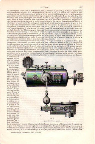 LAMINA V50460: Aparato de Hollefreund