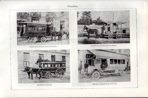 LAMINA V50451: Omnibus