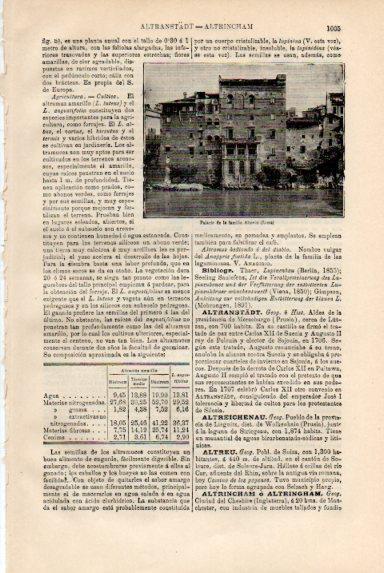 LAMINA V50662: Palacio de los Altoviti, Roma