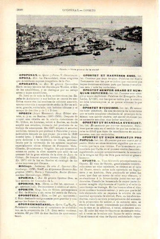 LAMINA V50572: Vista general de Oporto