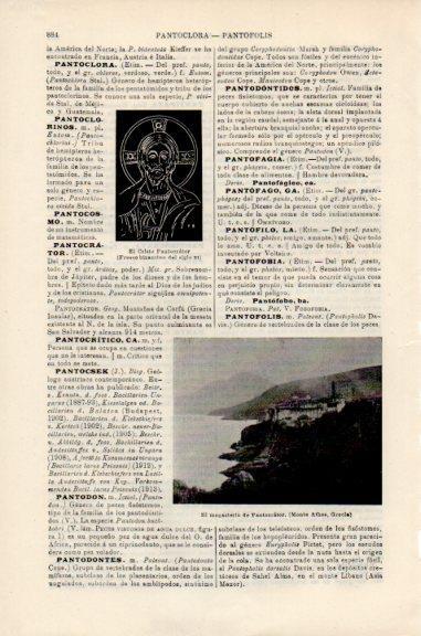 LAMINA V51189: Monasterio de Pantocrator, Grecia
