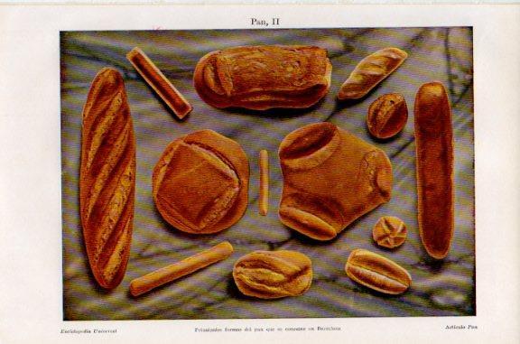 LAMINA V51138: Tipos de pan de Barcelona