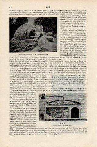 LAMINA V51137: Horno de pan en la huerta de Murcia