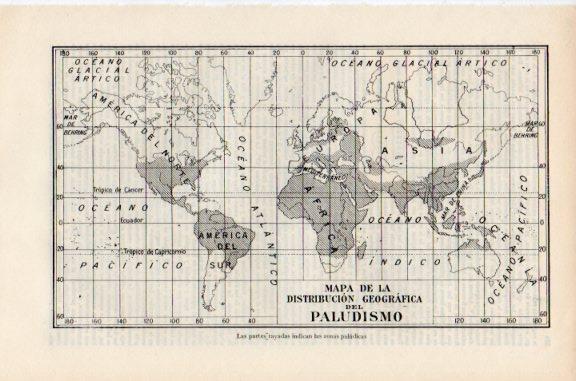 LAMINA V51129: Mapa mundial del paludismo