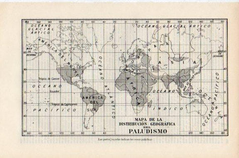 LAMINA V51129: Mapa mundial del paludismo