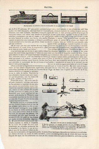 LAMINA V51124: Marcado de palomas por el sistema Rossor