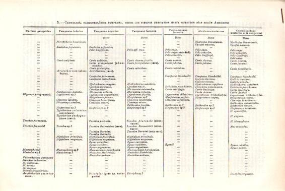LAMINA V51344: Entrada cronologia pelontologica Pamprana