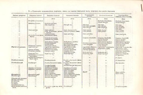 LAMINA V51344: Entrada cronologia pelontologica Pamprana