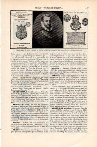 LAMINA V51250: Gonzalo Argote de Molina