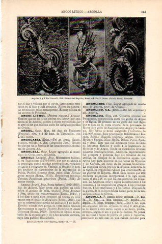 LAMINA V51248: Argollas por Cozzarelli y N. Grosso