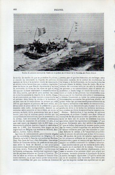 LAMINA V51123: Suelta de palomas en el Canal de la Mancha por P. Jobert