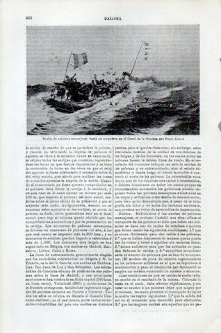 LAMINA V51123: Suelta de palomas en el Canal de la Mancha por P. Jobert