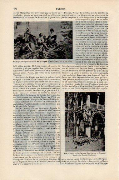 LAMINA V51120: Palomas en la plaza de San Marcos por Moreno Carbonero
