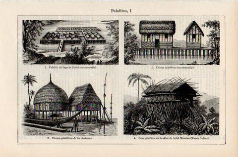 LAMINA V51061: Palafitos