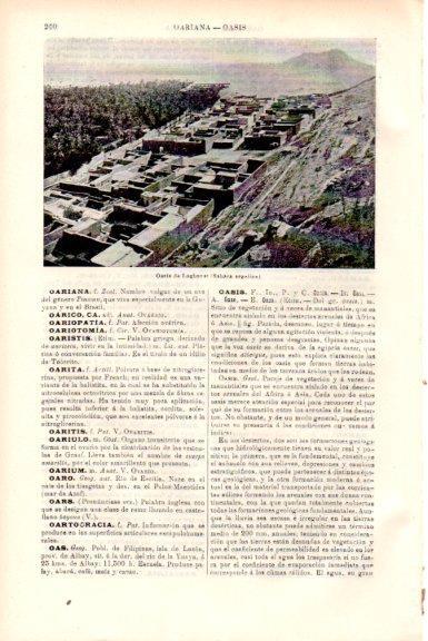 LAMINA V51709: Oasis de Laghouat, Sahara argelino