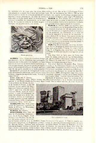 LAMINA V51700: Castillo de Fenix en Nus