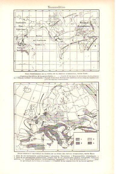 LAMINA V51688: Mapa de la tierra en el periodo nummulitico según Haug