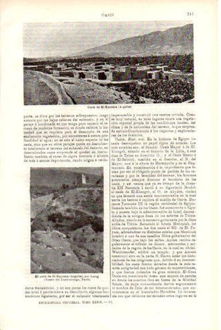 LAMINA V51710: Oasis El-Kantera, Argelia