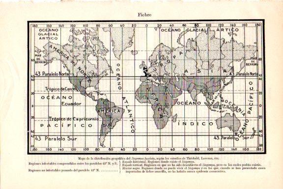 LAMINA V51623: Mapa mundial de la Stegomya fasciata