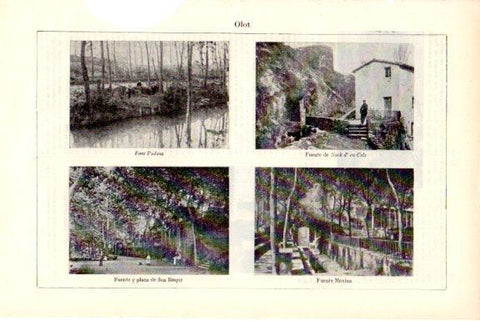 LAMINA V51836: Vistas de Olot, Girona