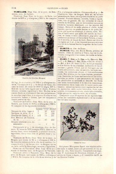 LAMINA V51831: Castillo de Olmillos, Burgos
