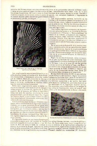 LAMINA V51814: Salinas de Cardona, Cataluña