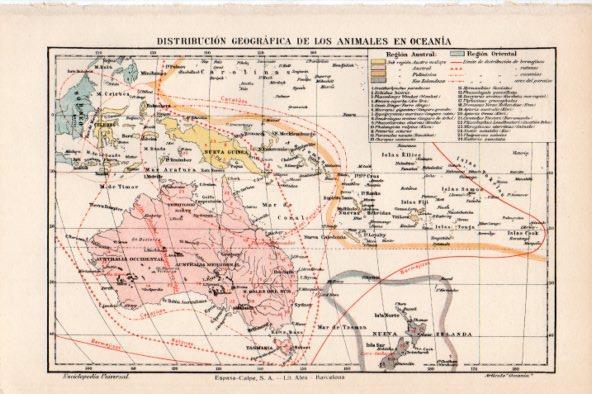 LAMINA V51870: Mapa distribucion de los animales en Oceania