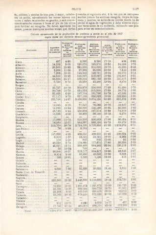 LAMINA V51869: Cuadro produccion aceitunas y aceite en 1917