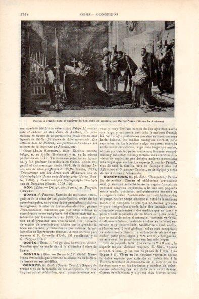 LAMINA V51868: Felipe II orando por C. Ooms