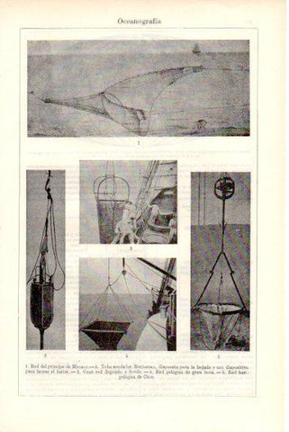 LAMINA V51768: Oceanografia redes