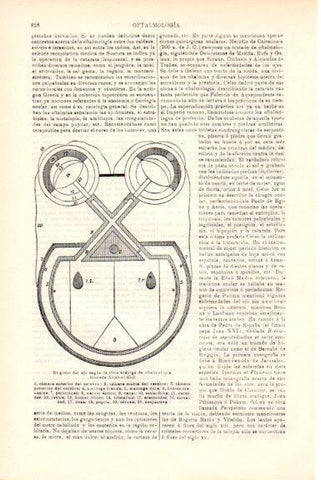 LAMINA V51793: El globo del ojo