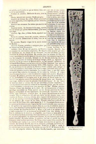 LAMINA V51448: Abanico de marfil