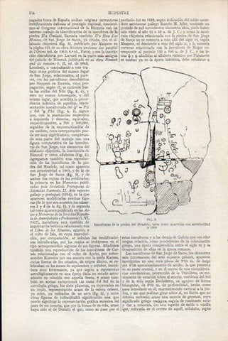 LAMINA V51464: Insculturas de la piedra del Meadelo
