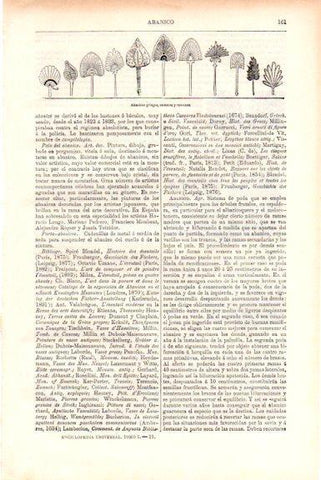 LAMINA V51454: Abanicos griegos, etruscos y romanos