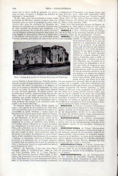 LAMINA V51403: Basilica de Kalbloze en Siria