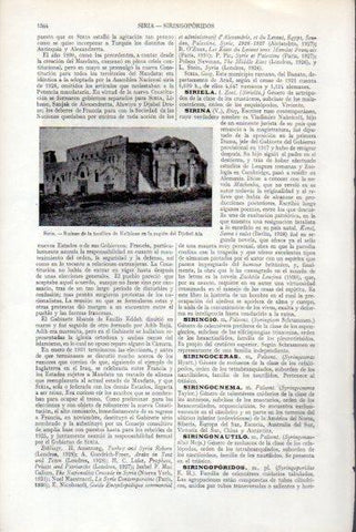 LAMINA V51403: Basilica de Kalbloze en Siria