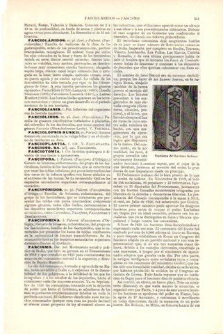 LAMINA V51581: Emblema del fascismo italiano