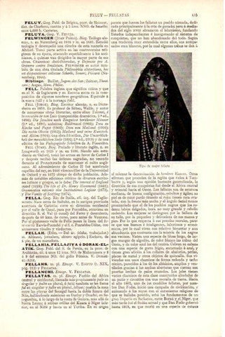 LAMINA V51598: Tipo de mujer fellata