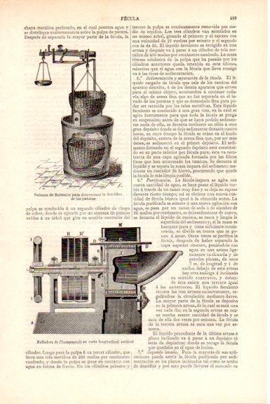 LAMINA V51593: Balanza de Reimann 