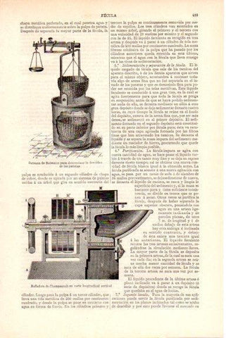 LAMINA V51593: Balanza de Reimann 