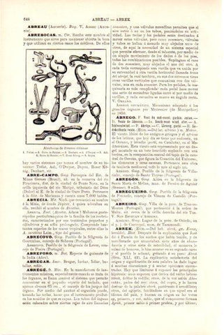 LAMINA V51510: Abrebocas de diversos sistemas