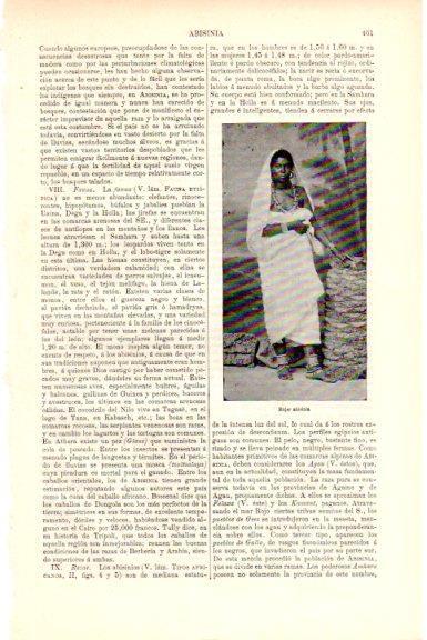 LAMINA V51492: Mujer de Abisinia